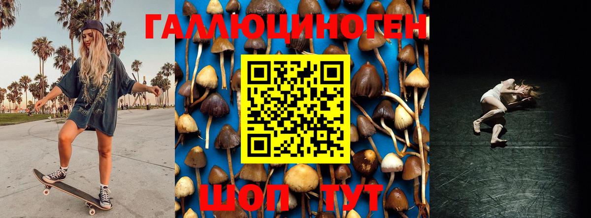 Псилоцибиновые грибы Magic Shrooms  Вход с VPN  Псилоцибиновые грибы Psilocybine cubensis  Коломна 